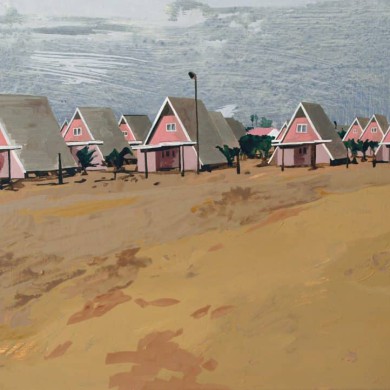 Flamingo Houses, 60x80, 2007