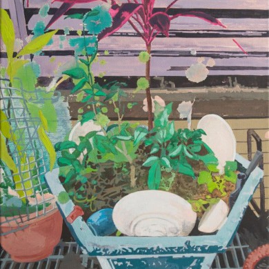 Pink Plant, 40x30, 2012