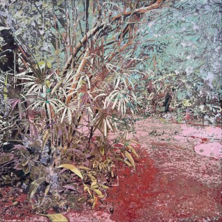 Aves, 2025, oil on canvas, 100 x 100 cm